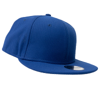 NEWERA NE304 / ROYAL